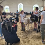 Foto: Kerstin Nußbaum, ein Mädchen und zwei Esel im Interview mit einem TV-Team beim Gottesdienst des Eseltreffens in Bad Honnef 2025.