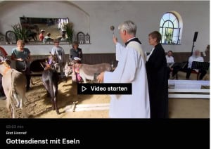 Startbild zum Video RTL WEST Bad Honnef Gottesdienst mit Eseln vom 18.8.2025