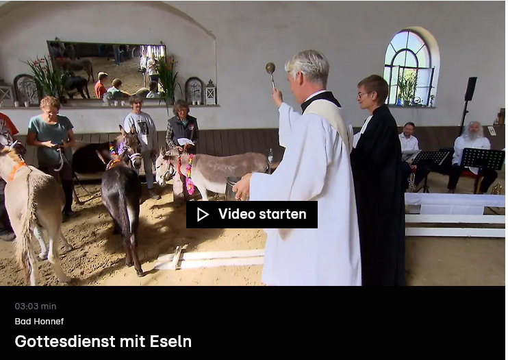 Startbild zum Video RTL WEST Bad Honnef Gottesdienst mit Eseln vom 18.8.2025