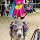 Foto: Supergirl steht auf Esel