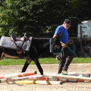 Foto: Otmar Hoefer führt Nestor durch den Packsattelparcours beim Eseltreffen in Bad Honnef 2025
