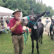 Foto: Otmar Hoefer füttert Nestor mit einem Apfel beim Eseltreffen in Bad Honnef 2025