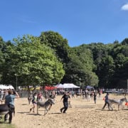 Foto: Sieger-Menschen und -Esel laufen eine Ehrenrunde beim Eseltreffen in Bad Honnef 2025