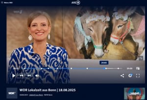 Startbild WDR-Lokalzeit-Bonn zum Eseltreffen 2025