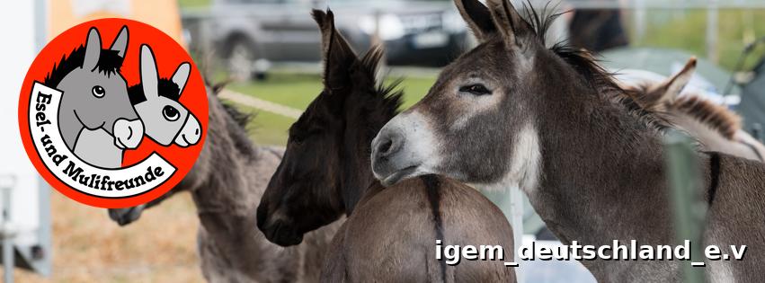 Foto: IGEM-Titelbild für Instagram