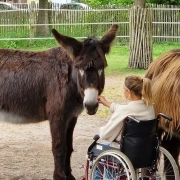 Aktions-Tage tiergestützte Intervention