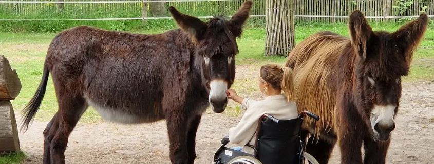 Foto: Aktionstage tiergestützte Interventon auf dem Bio- und Arche-Hof Lühlerheide
