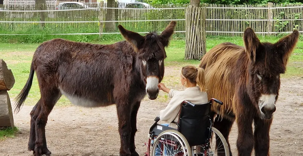Aktions-Tage tiergestützte Intervention