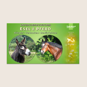 Unterschiede zwischen Pferd und Esel