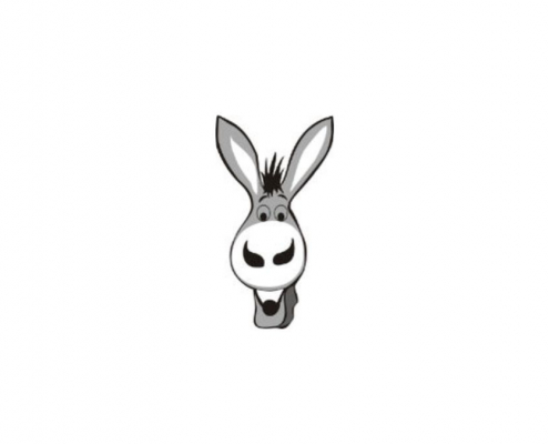 Grundlagenkurs Esel- und Mulihaltung