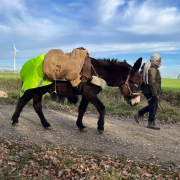 Packsattel und Knotenkunde mit Karl Schwazer