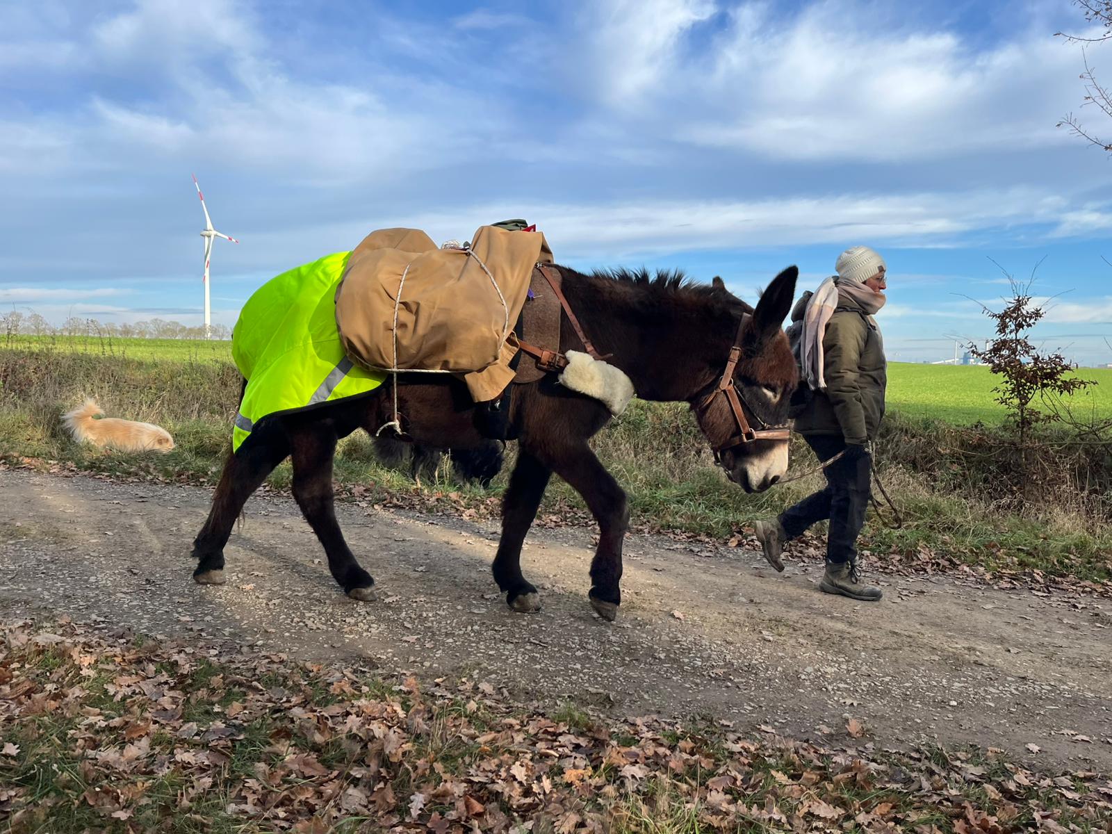 Packsattel und Knotenkunde mit Karl Schwazer
