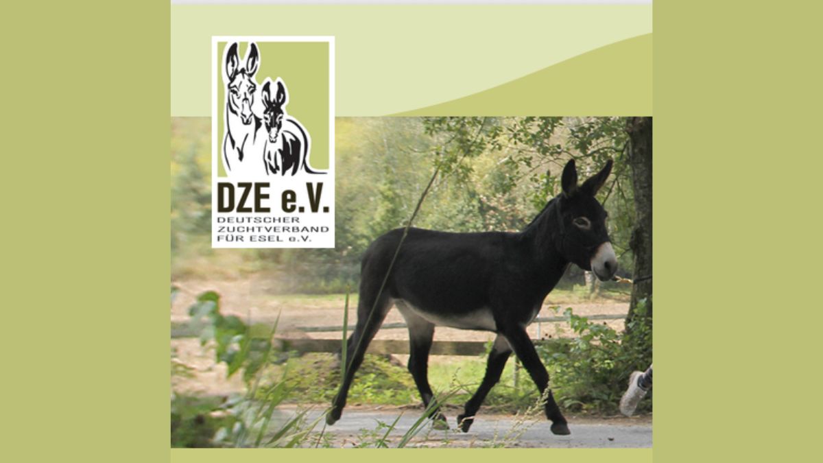 Screenshot DZE mit Logo und Esel