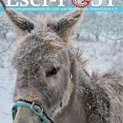 Foto: Titelseite der Esel-Post Nr. 151, Dezember 2025