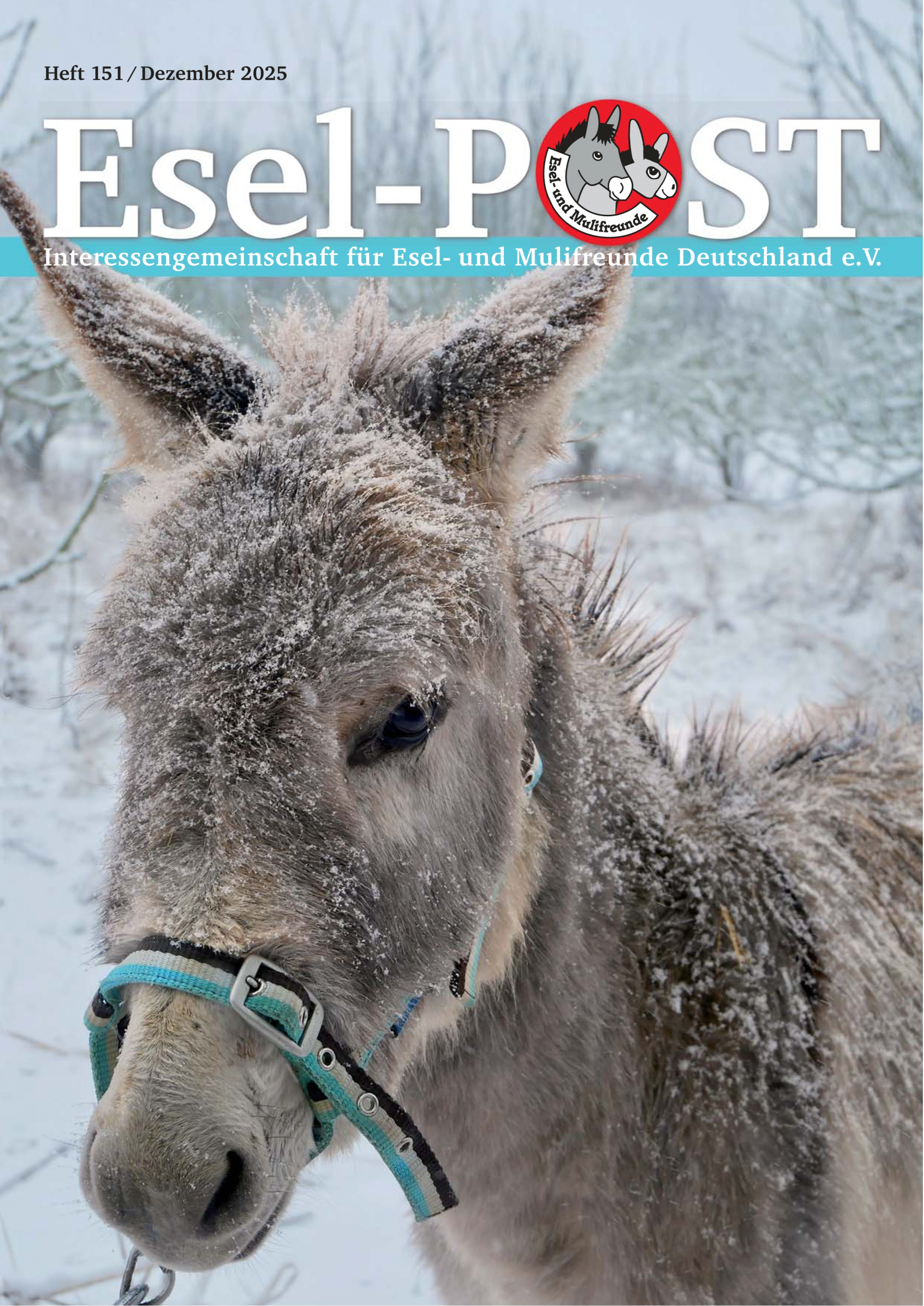 Foto: Titelseite der Esel-Post Nr. 151, Dezember 2025