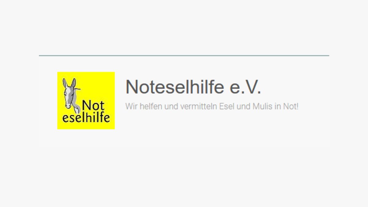 Screenshot Noteselhilfe e. V. mit Logo