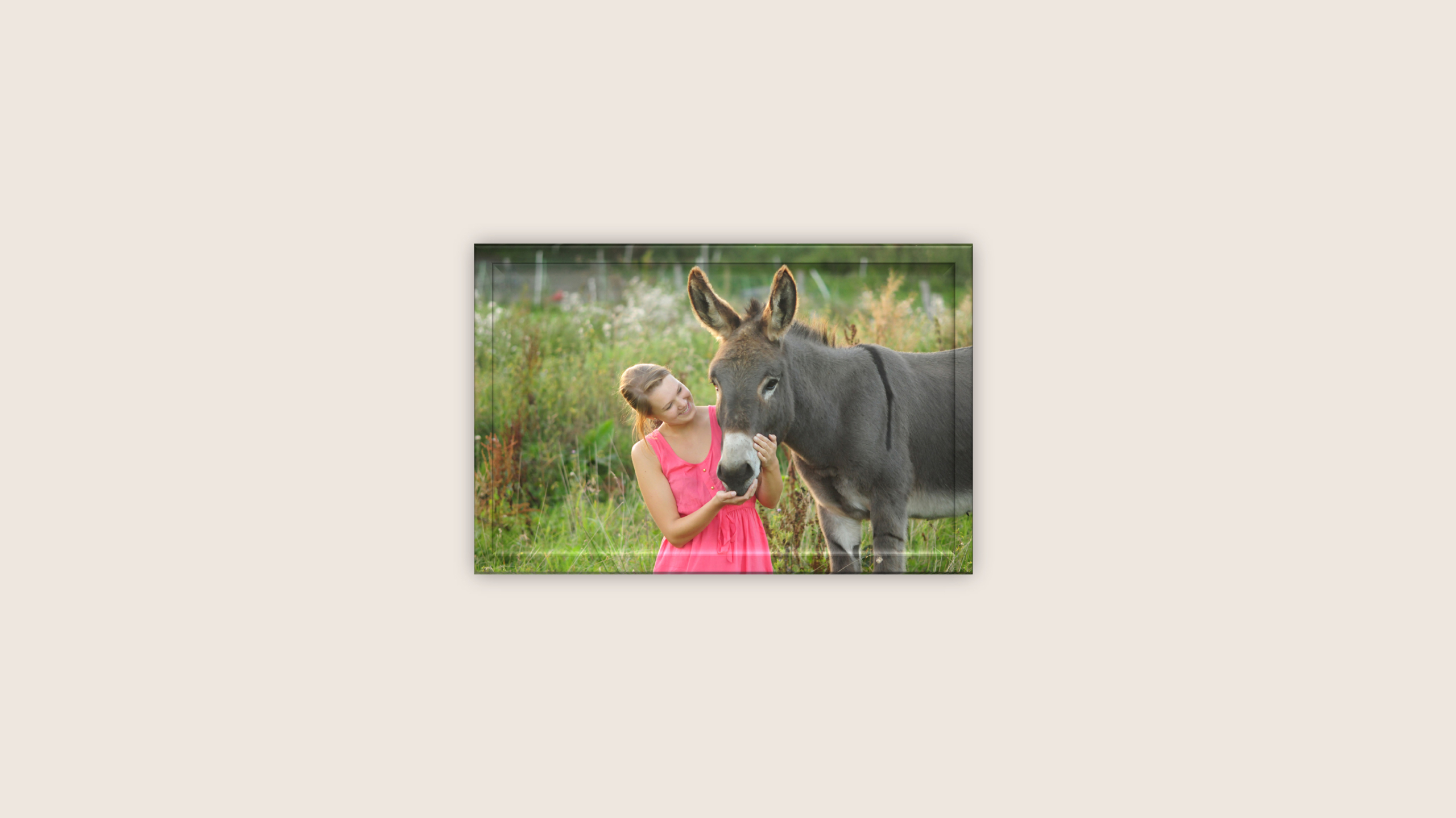 ESELTRAINING VOR ORT