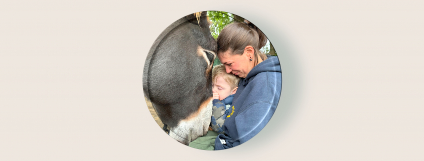 Foto: Eselkopf, Kind und Frau zu: Präsenzseminar mit Judith Schmidt zu Eseln in tiergestützten Interventionen