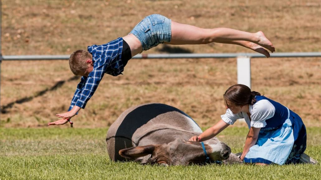 Foto: Junge springt über liegenden Esel, den eine Frau streichelt - 2022 Eseltreffen Forst