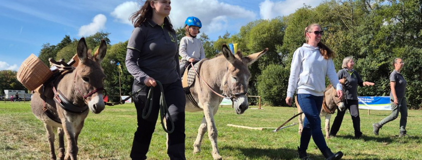 Foto: IGEM-DZE-Mitglieder mit Eseln Fritz, Tessa, Fritz auf Usinger Laurentius-Markt 2025