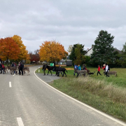 Dickschieder Wildwechsel: Esel-Mensch-Wanderung