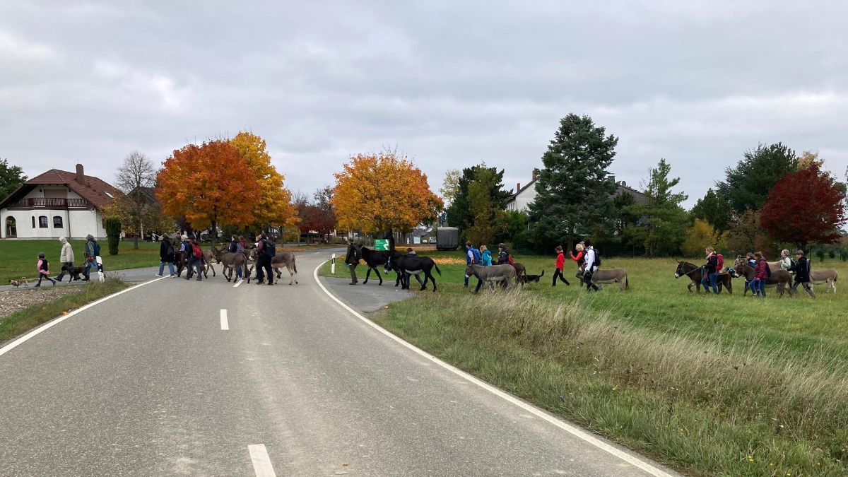 Dickschieder Wildwechsel: Esel-Mensch-Wanderung