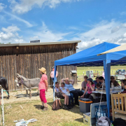 Hessen-Camp mit Eseln