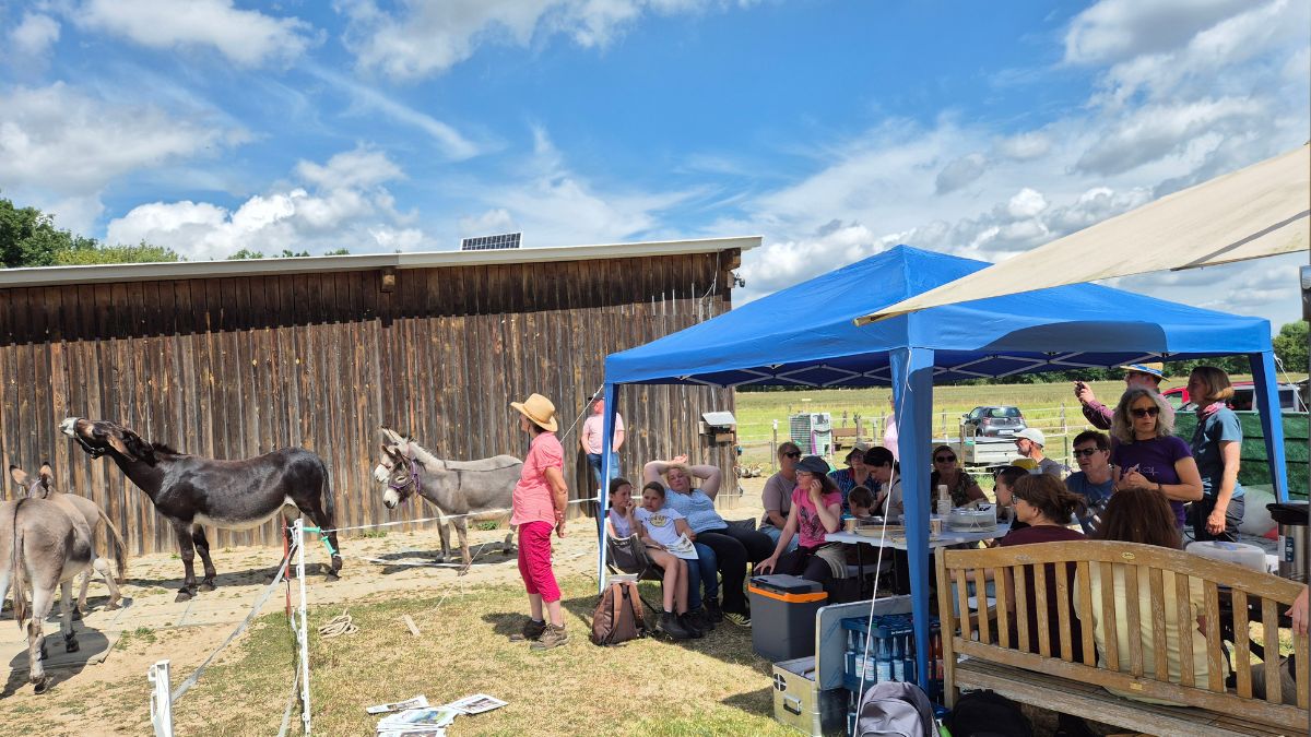 Hessen-Camp mit Eseln