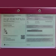 Foto: Ausweispapier inklusive Zuchtpapier Deutschland, Equidenpass, 300 x 300 Pixel