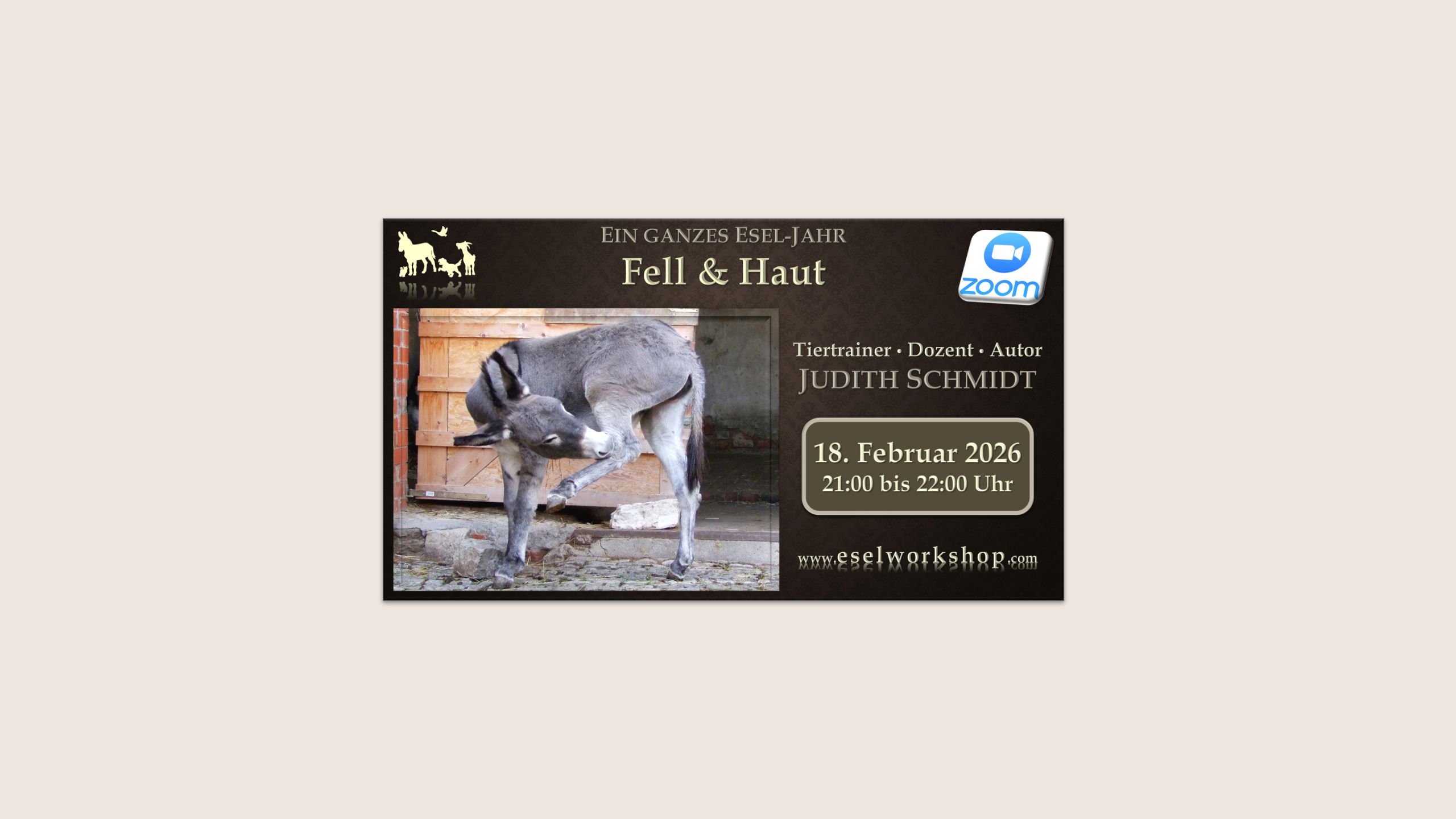 Ein ganzes Esel-Jahr | Fell & Haut