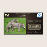 Ein ganzes Esel-Jahr | Zucht