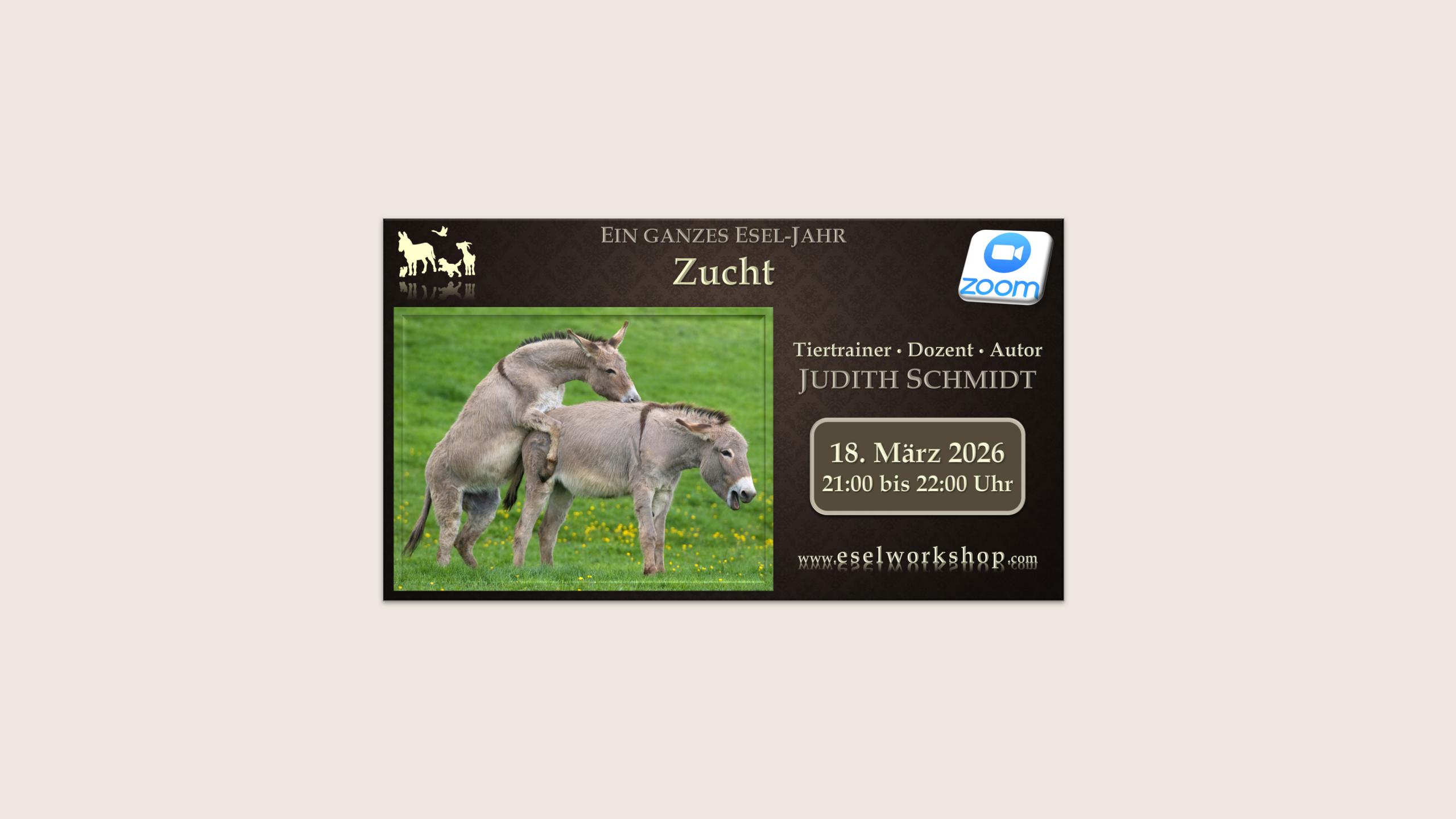 Ein ganzes Esel-Jahr | Zucht