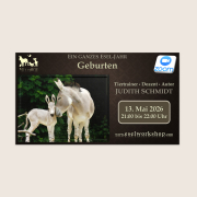 Ein ganzes Esel-Jahr | Geburten