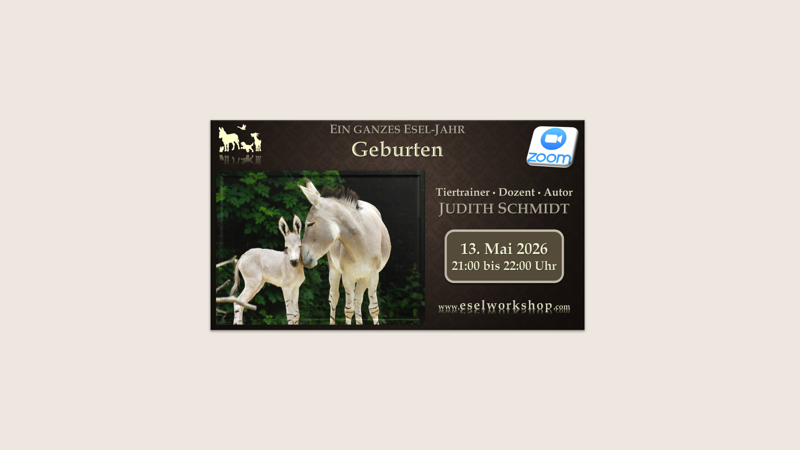 Ein ganzes Esel-Jahr | Geburten