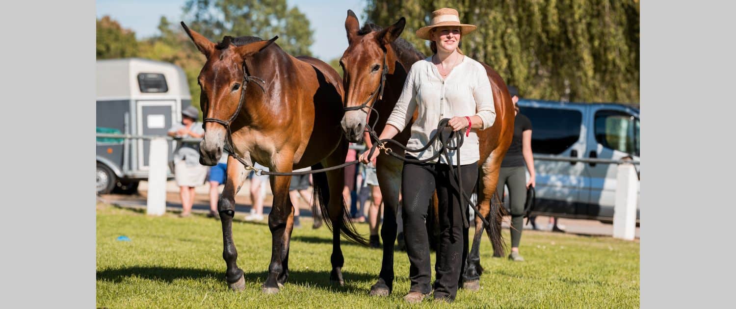 Foto: Forst, Schweizer Mulis, Felicitas Frädrich, 1500 x 630 Pixel