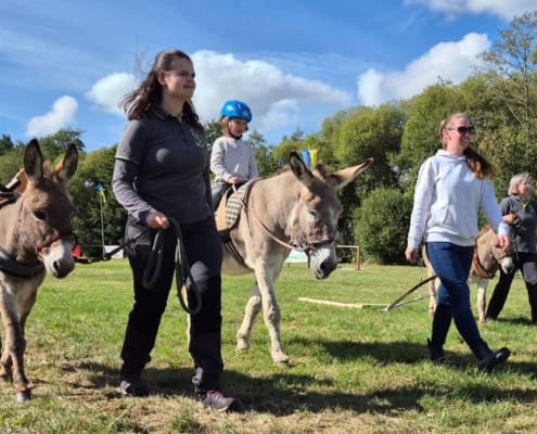 Usinger Laurentius-Markt mit Eseln