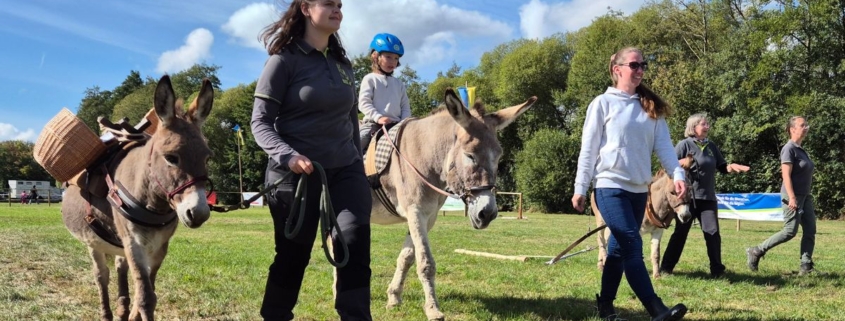 Foto: IGEM-DZE-Mitglieder mit Eseln Fritz, Tessa, Fritz auf Usinger Laurentius-Markt 2025