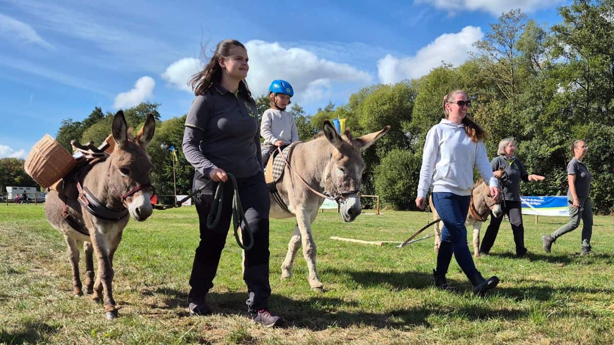 Usinger Laurentius-Markt mit Eseln