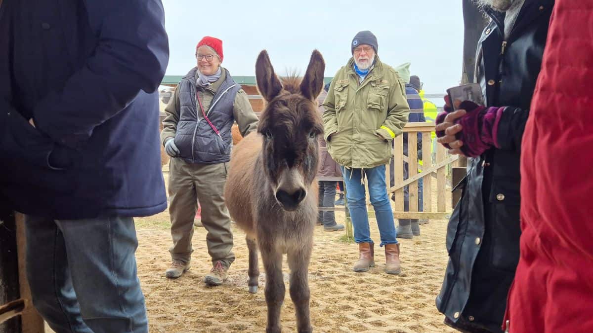 Jahresplanungstreffen Rhein-Main 2027