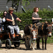 Kutschenausfahrt bei Hühns