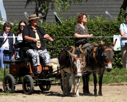 Kutschenausfahrt bei Hühns