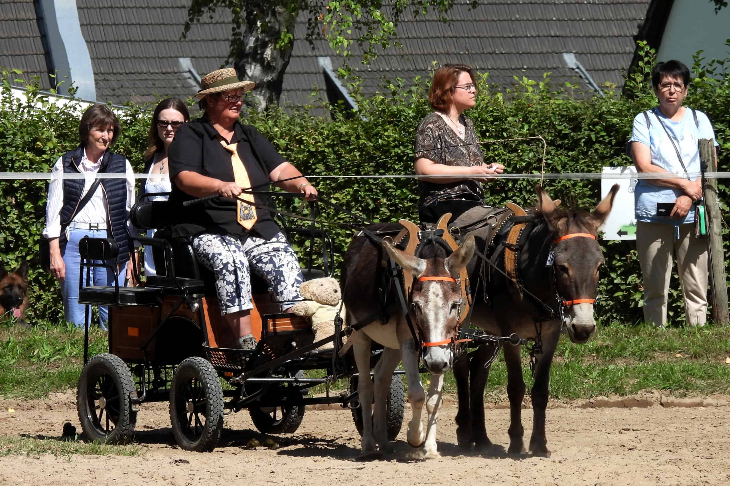 Kutschenausfahrt bei Hühns