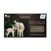 Webinar: Ein ganzes Esel-Jahr | Geburten