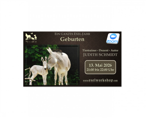 Webinar: Ein ganzes Esel-Jahr | Geburten