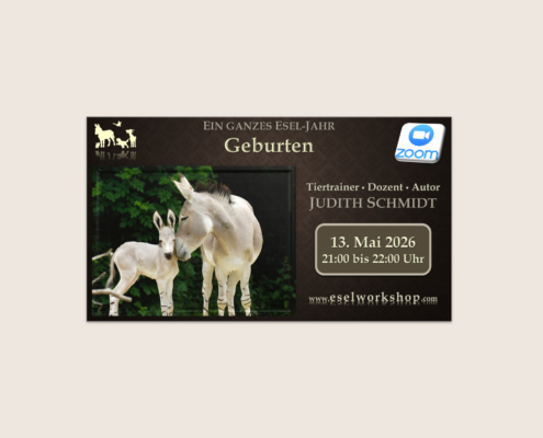 Webinar: Ein ganzes Esel-Jahr | Geburten