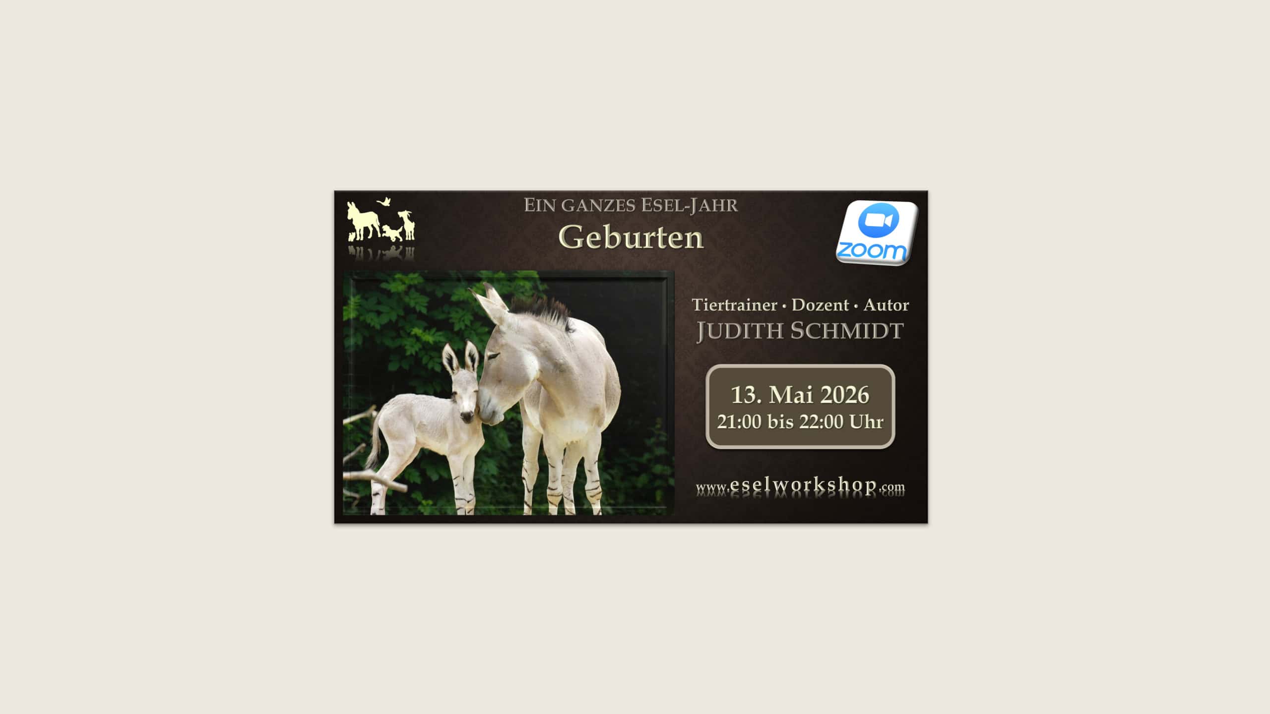 Webinar: Ein ganzes Esel-Jahr | Geburten