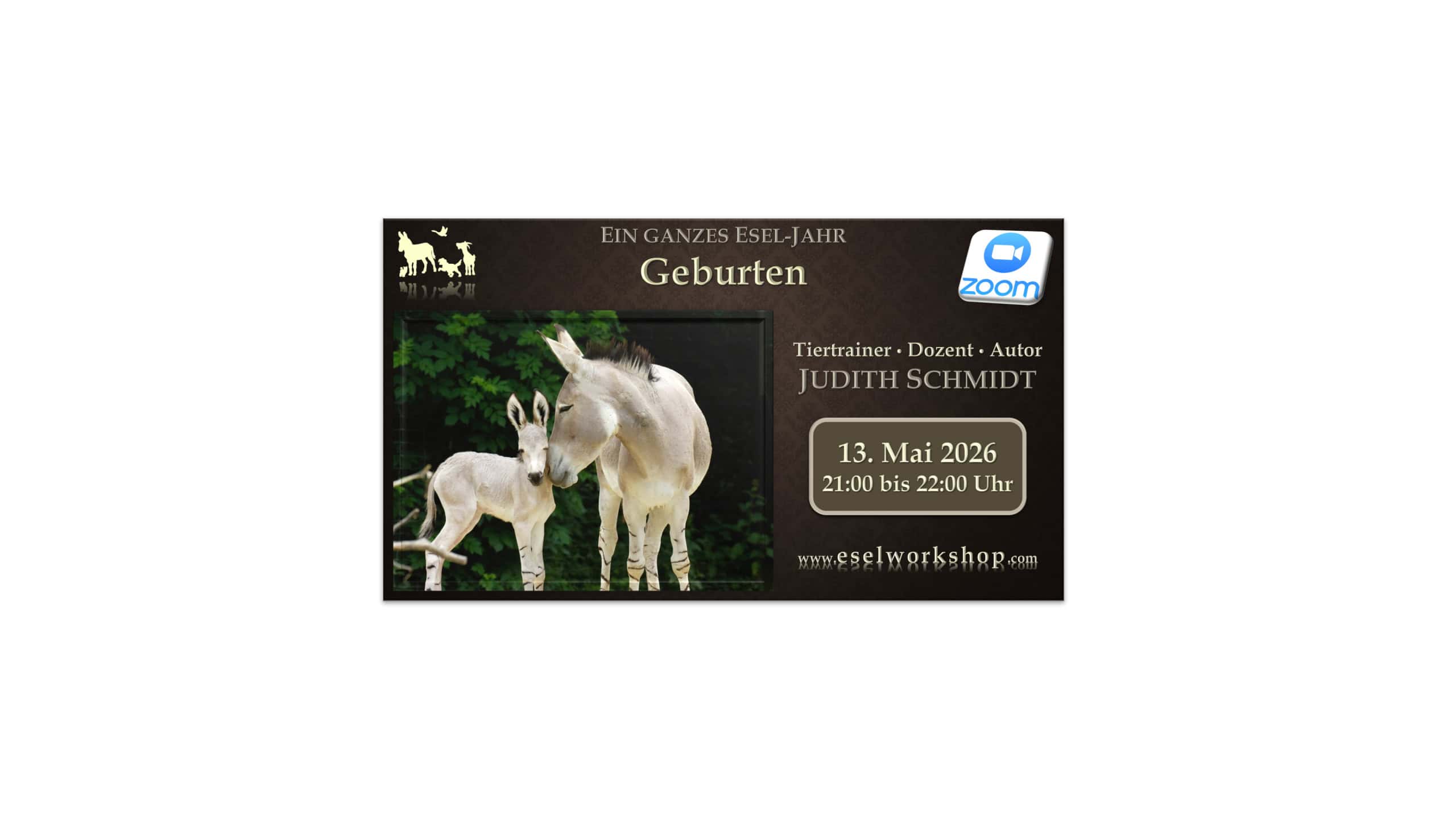 Webinar: Ein ganzes Esel-Jahr | Geburten
