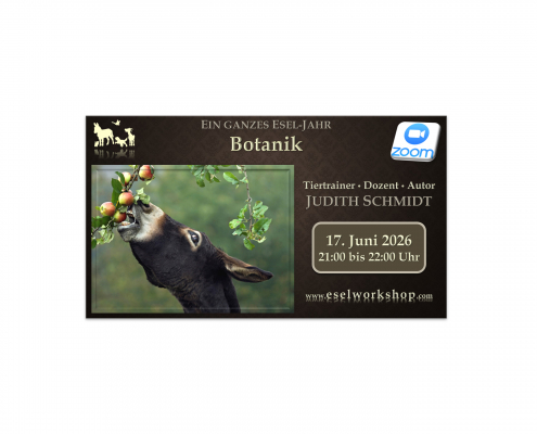 Webinar: Ein ganzes Esel-Jahr | Botanik