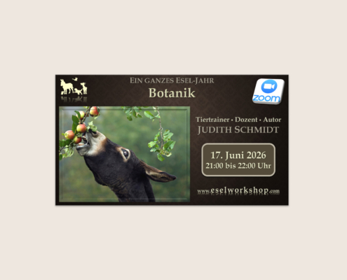 Webinar: Ein ganzes Esel-Jahr | Botanik