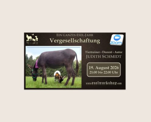 Webinar: Ein ganzes Esel-Jahr | Vergesellschaftung